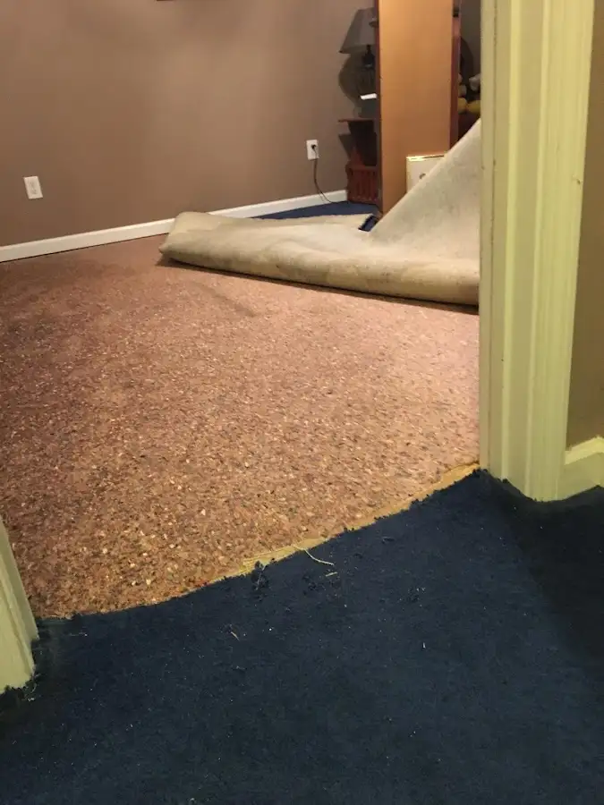 Carpet pad removal revealing water damage during Water Mitigation Services in Temple Hills