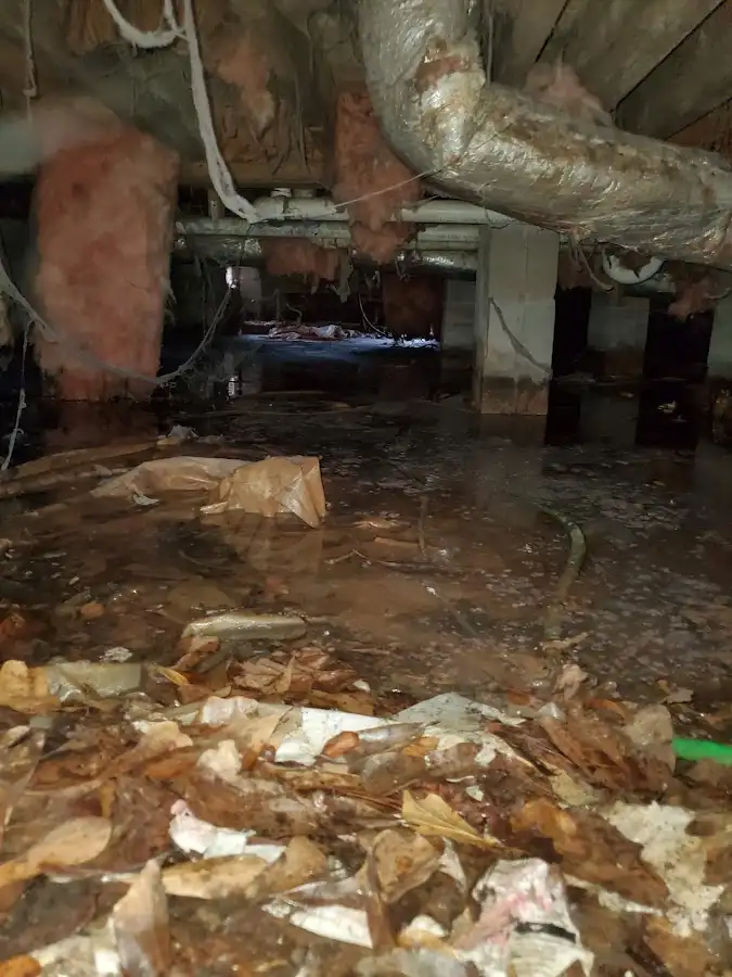 Crawl space flood assessment for Commercial Water Damage Restoration in Temple Hills